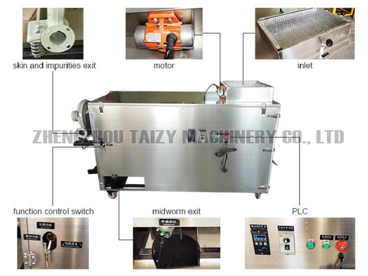 Tenebrio molitor separator structure Tenebrio molitor separator structure