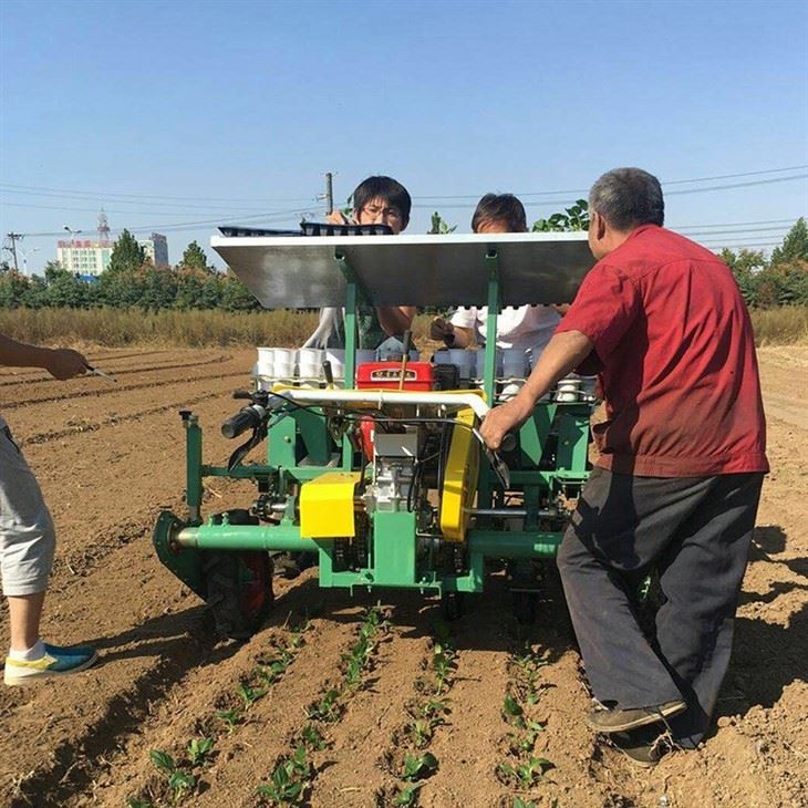 Automatic Seedling Planting Machine