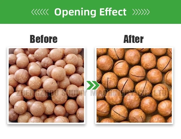 Macadamia Nut Cracker Machine suppliers