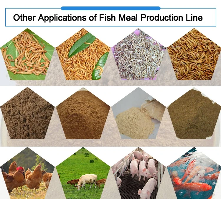 fishmeal making machine fishmeal making machine