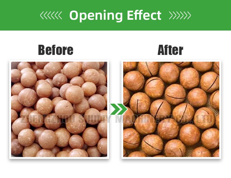 macadamia nut cracker machine macadamia nut cracker machine